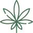 cannabis (7)
